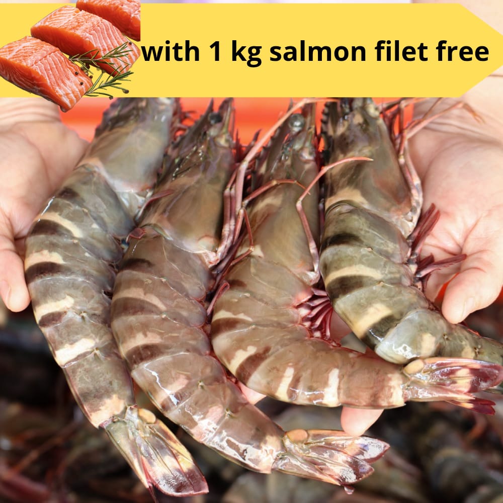 5 kg Emirati Shrimp
